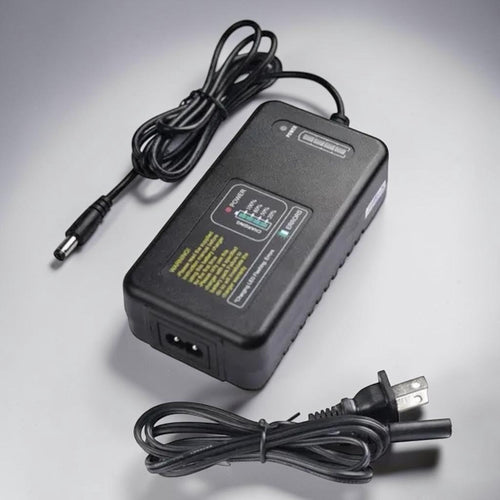 Godox Cargador G60-12L3